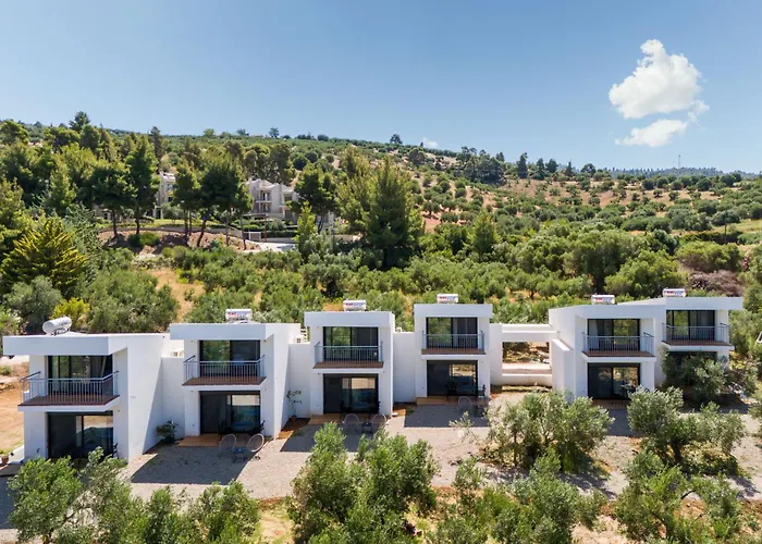 Olea By Halu!, Cozy In Nikiti Апартаменты Лагомандра