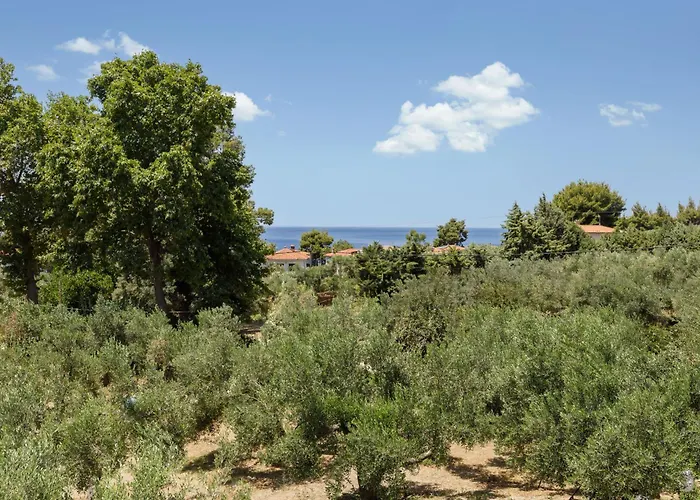 Olea By Halu!, Cozy In Nikiti Лагомандра