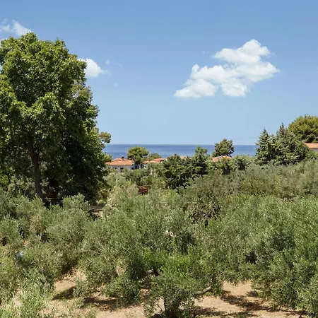 Olea By Halu!, Cozy In Nikiti Lagómandra